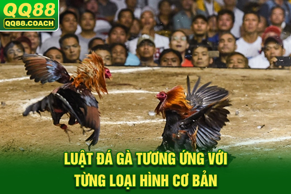 Luật đá gà tương ứng với từng loại hình cơ bản